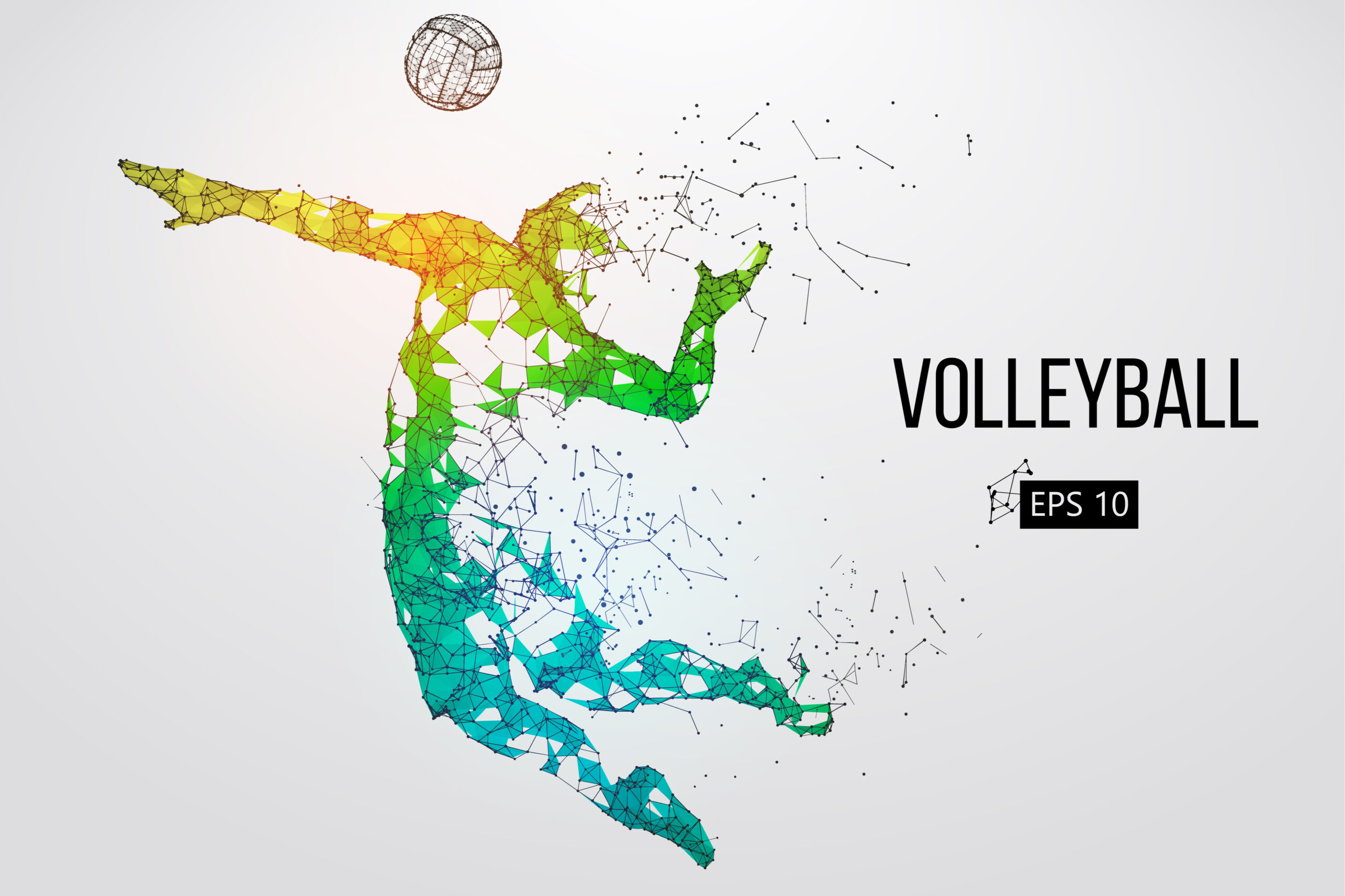 大会結果 静岡県高校総体バレーボール大会 東部地区予選 ２０２２年度 スポーツと健康 たまにカフェ 伊豆より